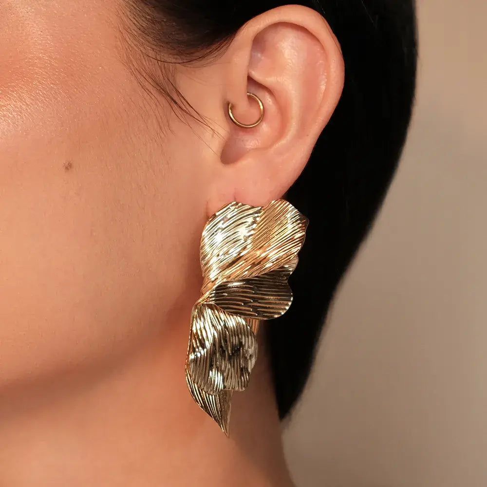 Aretes Topo Aurelia