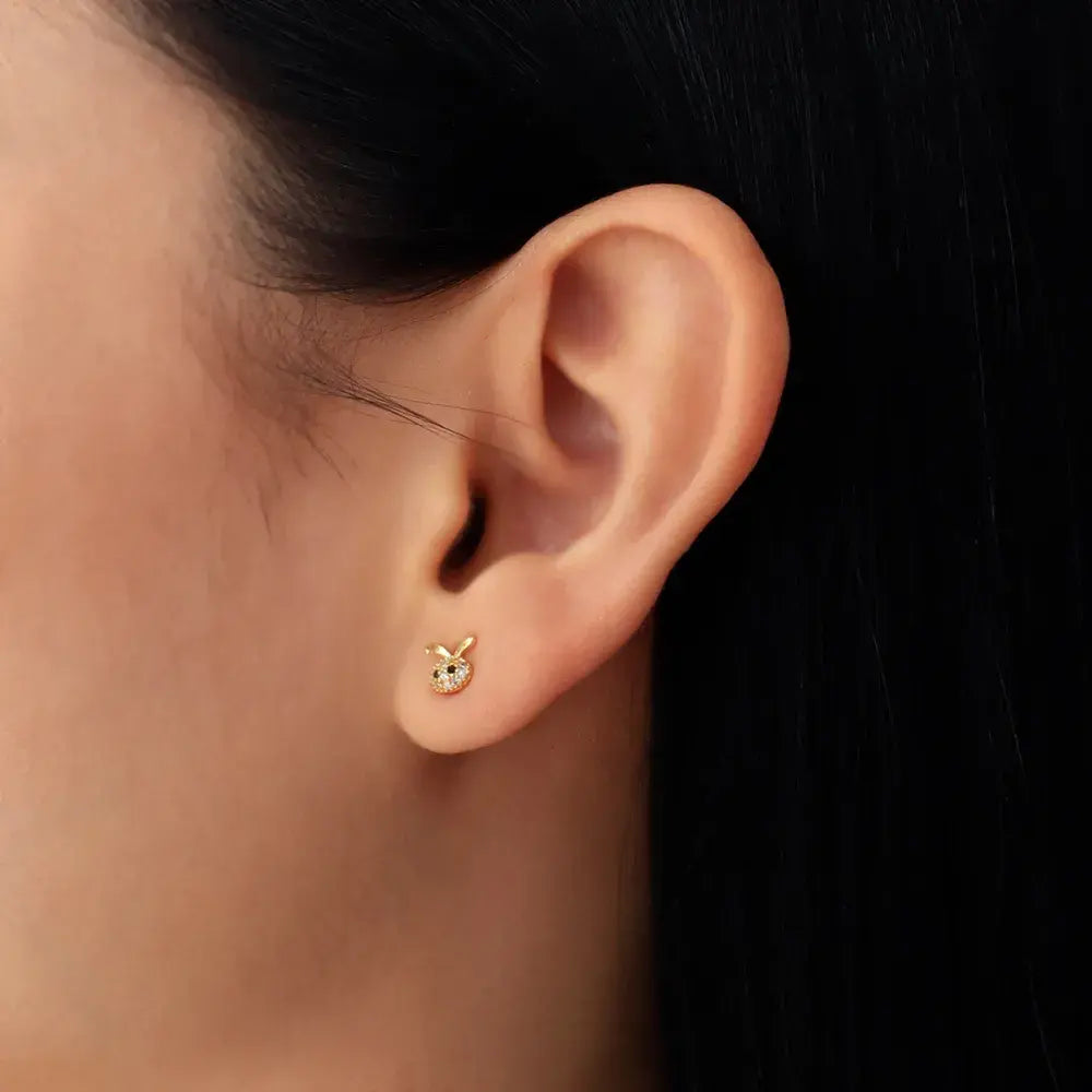 Aretes Topo de Conejo